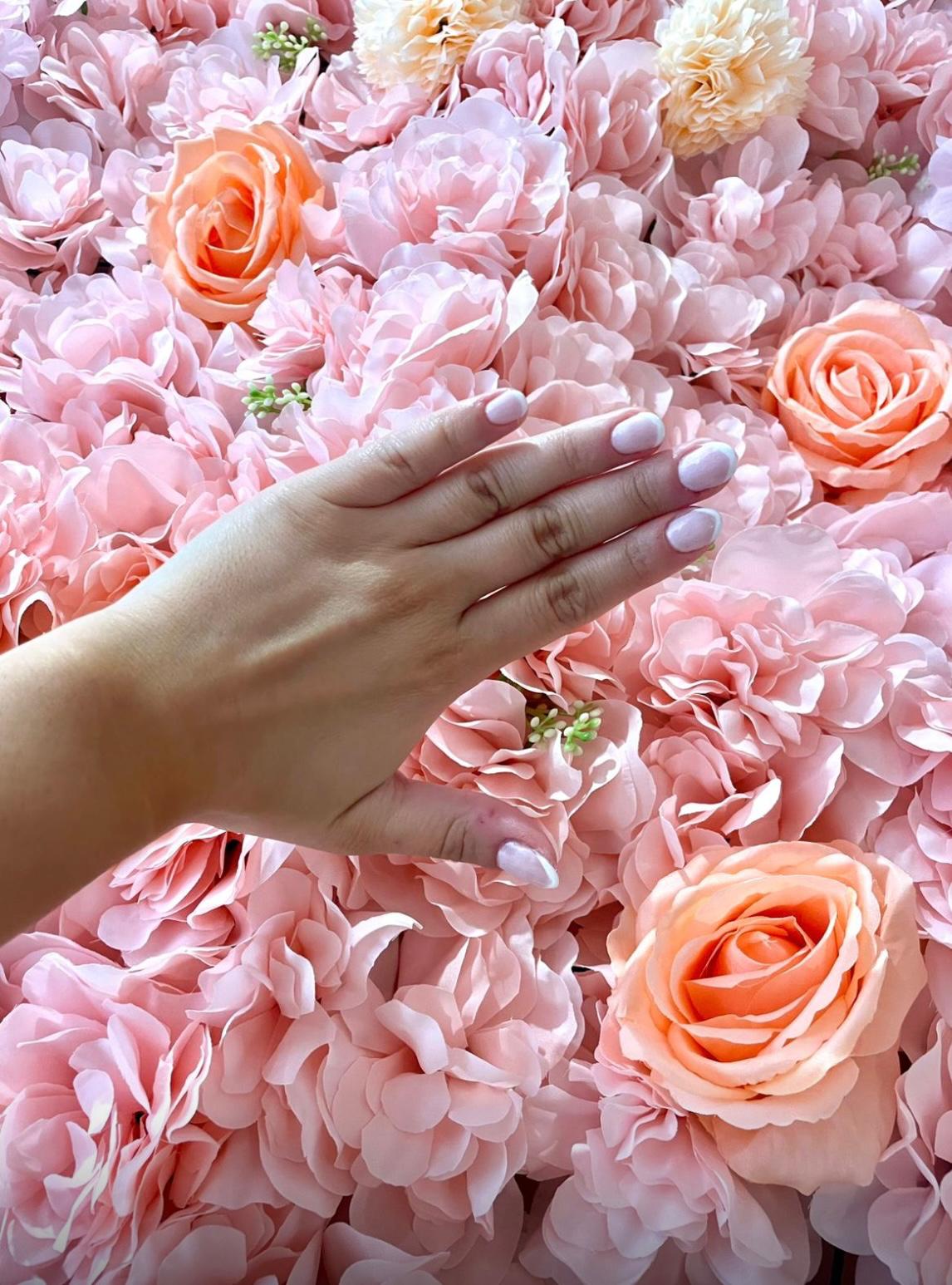 Mur de roses